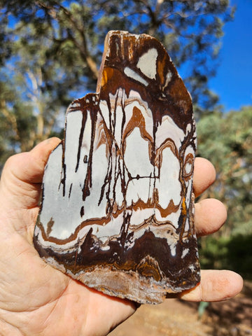 Polished Outback Jasper slab OJ188