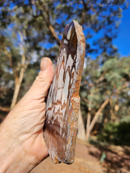 Polished Outback Jasper slab OJ188