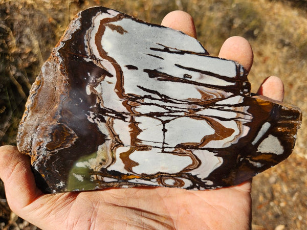 Polished Outback Jasper slab OJ188