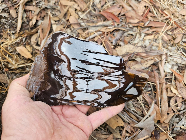 Polished Outback Jasper slab OJ188