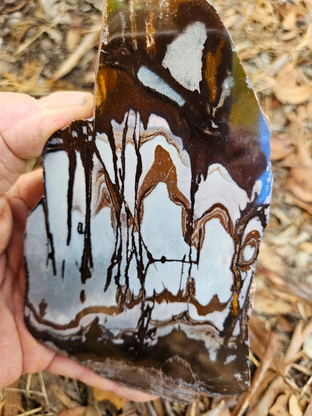 Polished Outback Jasper slab OJ188