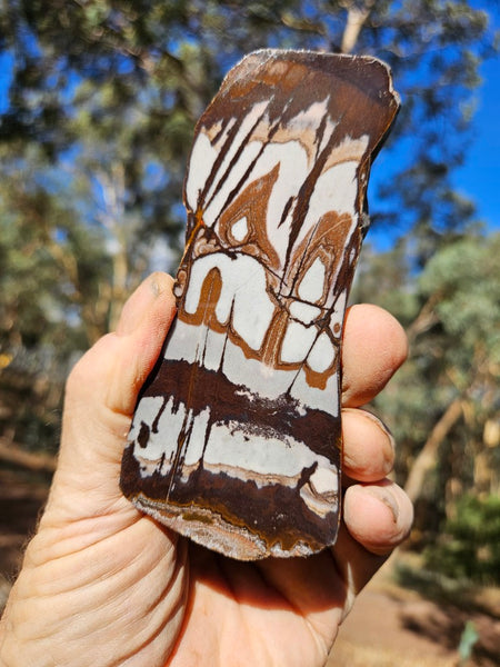 Polished Outback Jasper slab OJ191