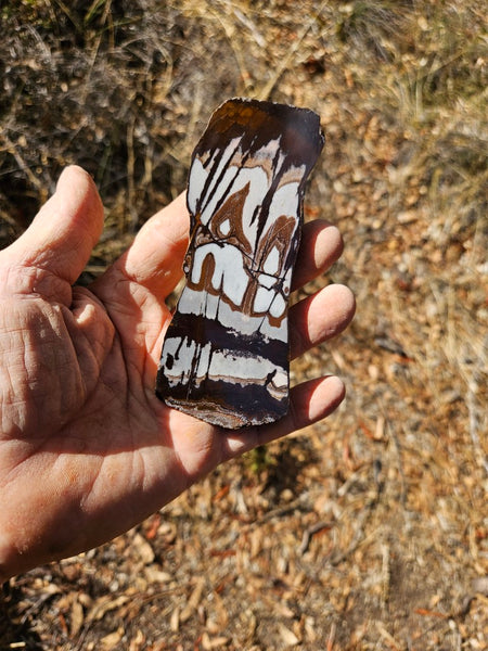 Polished Outback Jasper slab OJ191