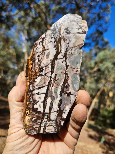 Polished Outback Jasper slab OJ189