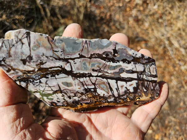 Polished Outback Jasper slab OJ189