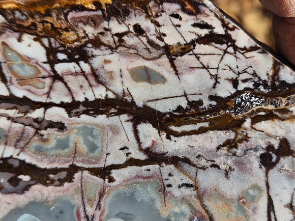 Polished Outback Jasper slab OJ189