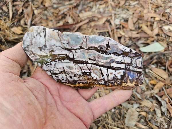 Polished Outback Jasper slab OJ189