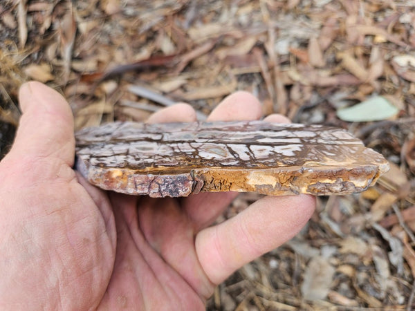 Polished Outback Jasper slab OJ189