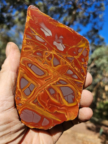 Polished Noreena Jasper. NJ482