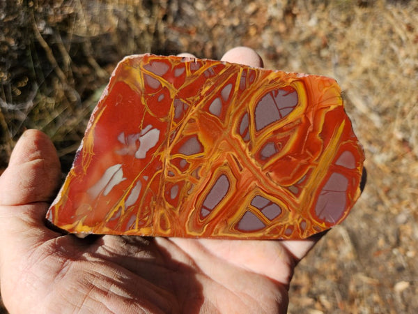 Polished Noreena Jasper. NJ482