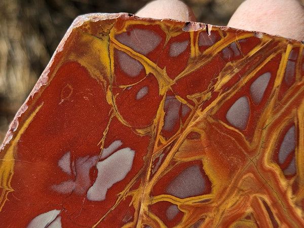 Polished Noreena Jasper. NJ482