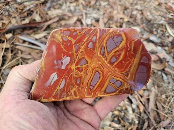 Polished Noreena Jasper. NJ482