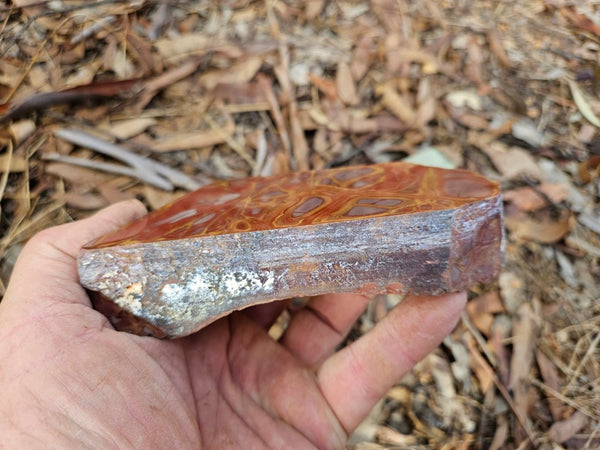 Polished Noreena Jasper. NJ482