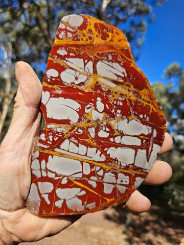 Polished Noreena Jasper slab. NJ479