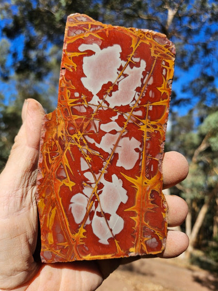 Polished Noreena Jasper slab. NJ480