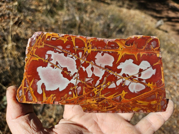 Polished Noreena Jasper slab. NJ480