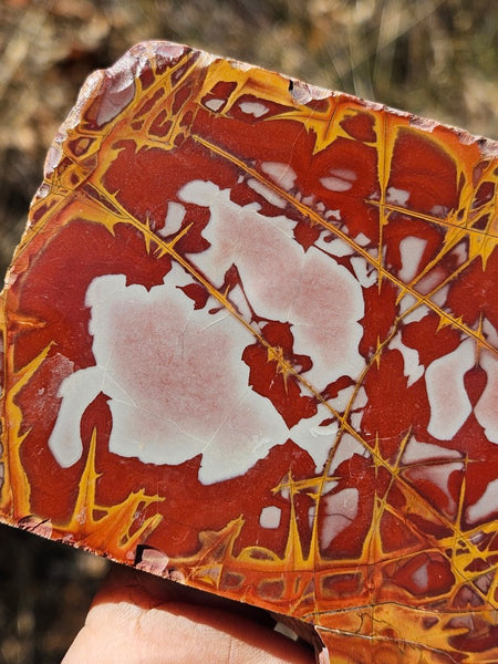 Polished Noreena Jasper slab. NJ480