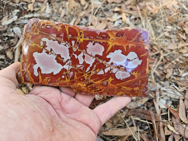 Polished Noreena Jasper slab. NJ480