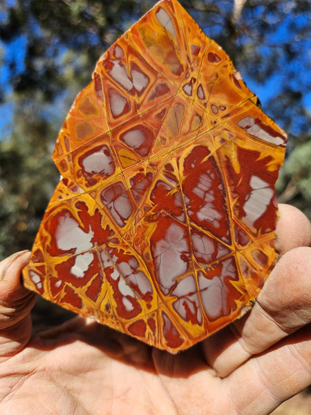 Polished Noreena Jasper slab. NJ481