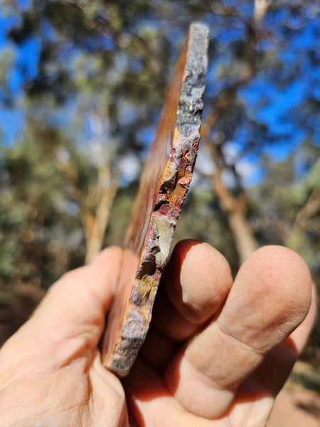 Polished Noreena Jasper slab. NJ481