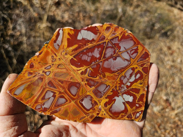 Polished Noreena Jasper slab. NJ481