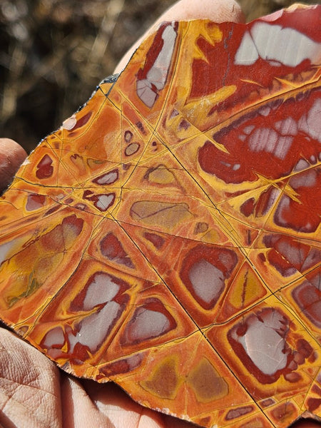 Polished Noreena Jasper slab. NJ481