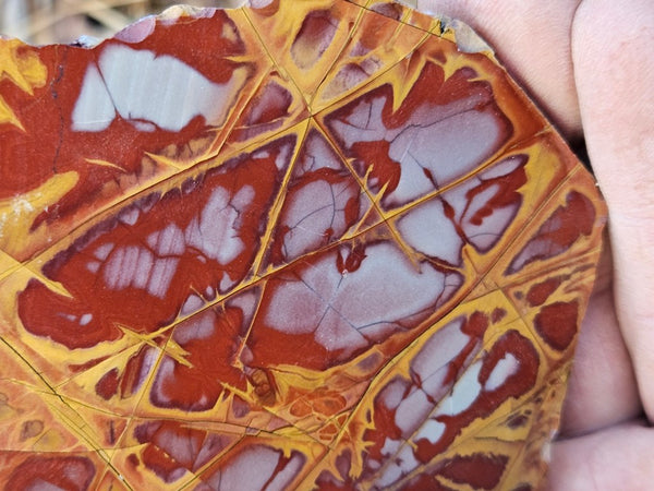 Polished Noreena Jasper slab. NJ481