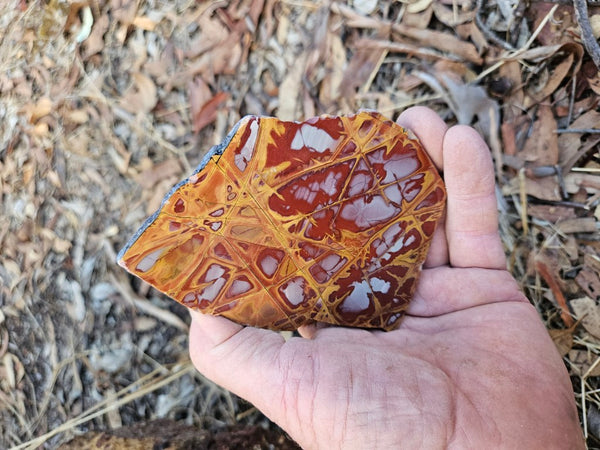 Polished Noreena Jasper slab. NJ481