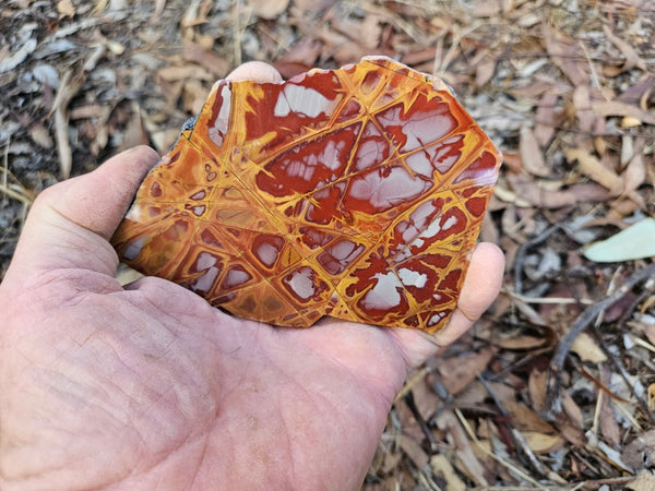 Polished Noreena Jasper slab. NJ481