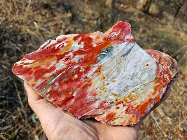 Polished Killaloe Opal slab KO118