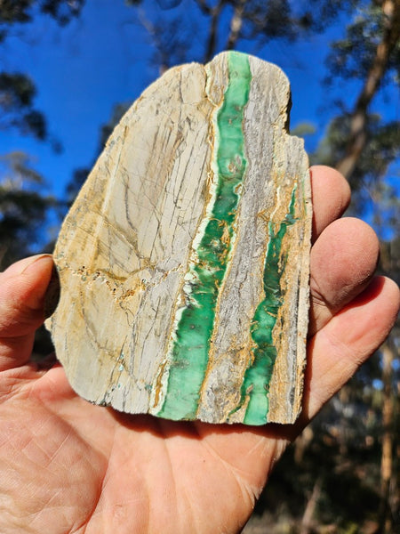 Variscite Polished Slab.  VP 289