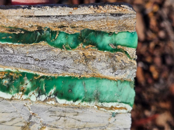 Variscite Polished Slab.  VP 289