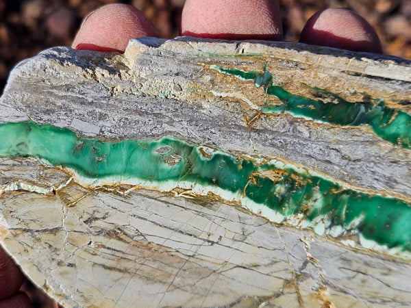 Variscite Polished Slab.  VP 289