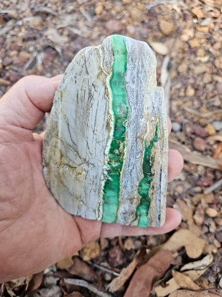 Variscite Polished Slab.  VP 289