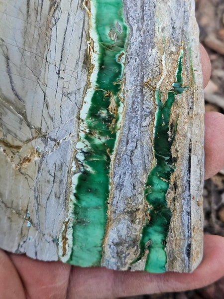 Variscite Polished Slab.  VP 289