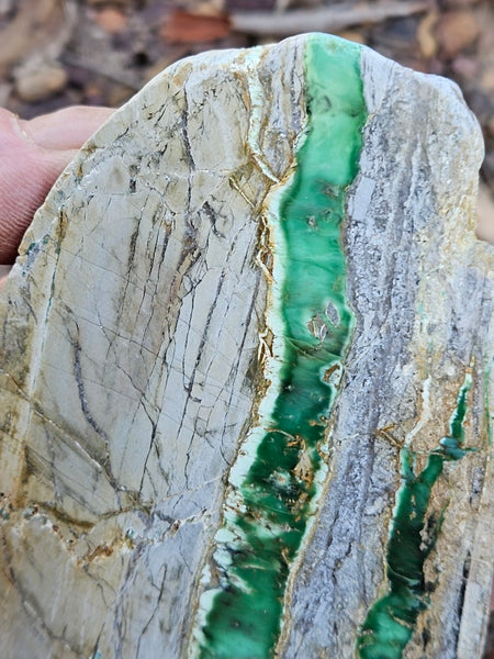 Variscite Polished Slab.  VP 289