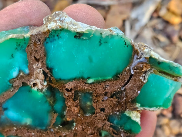 Polished  Chrysoprase slab CH475