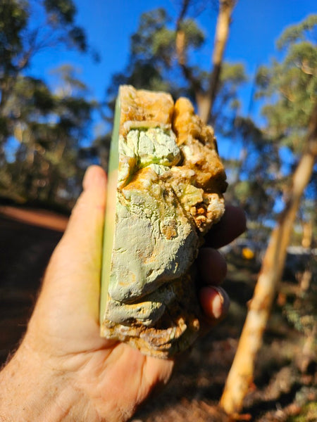 Polished Lime Magnesite specimen. MAP215