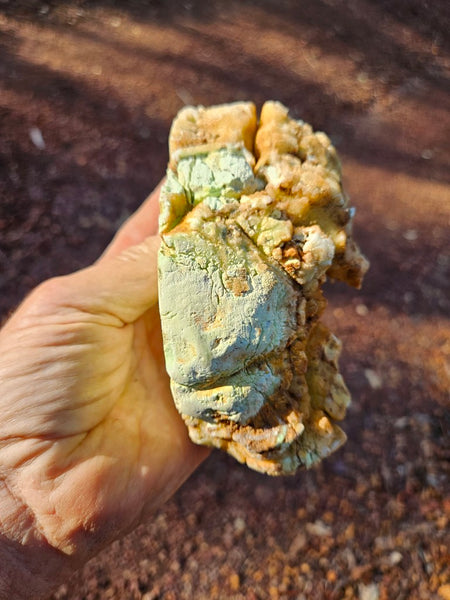 Polished Lime Magnesite specimen. MAP215