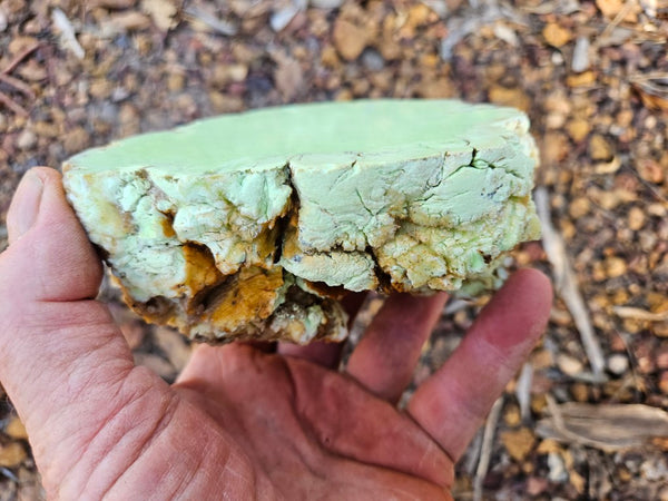 Polished Lime Magnesite specimen. MAP215