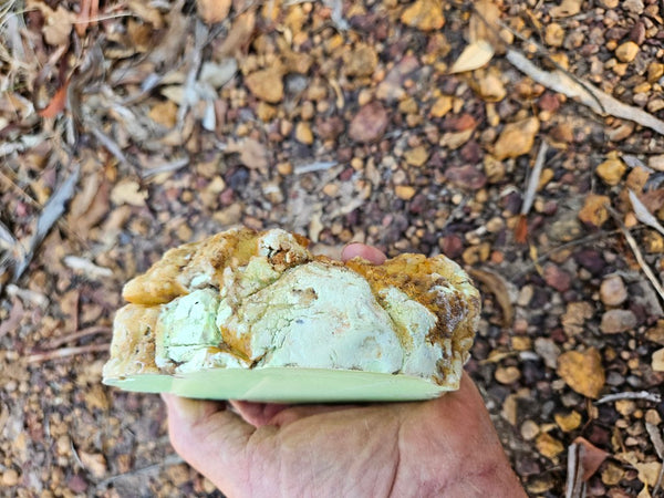 Polished Lime Magnesite specimen. MAP215