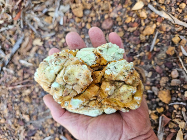 Polished Lime Magnesite specimen. MAP215