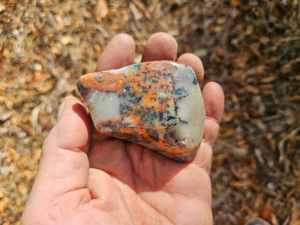 Tumble Polished Dendritic Opal DOT109