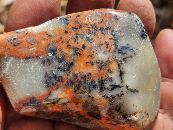 Tumble Polished Dendritic Opal DOT109