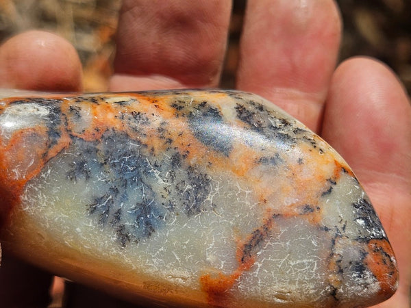 Tumble Polished Dendritic Opal DOT109