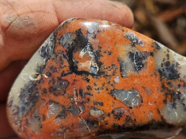 Tumble Polished Dendritic Opal DOT109