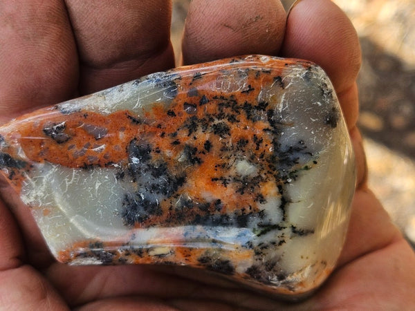 Tumble Polished Dendritic Opal DOT109
