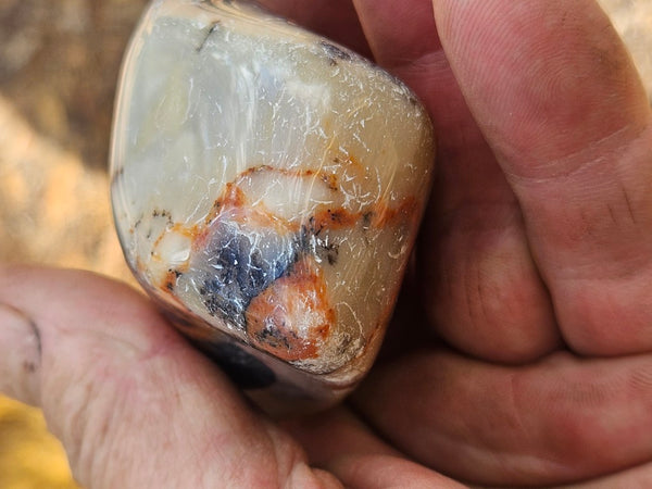 Tumble Polished Dendritic Opal DOT109