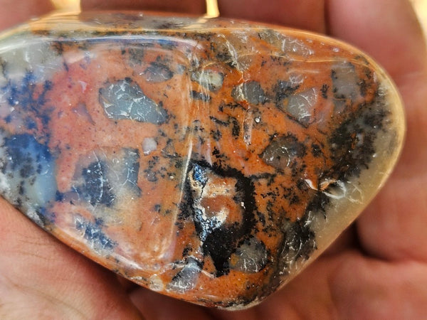 Tumble Polished Dendritic Opal DOT109