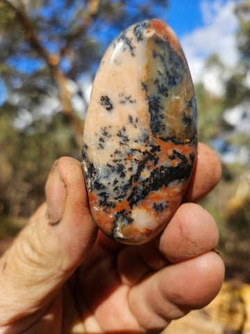 Tumble Polished Dendritic Opal DOT110